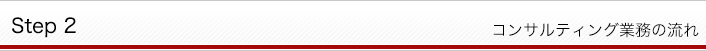 コンサルティング業務の流れ Step2