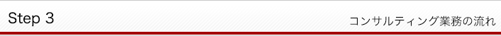 コンサルティング業務の流れ Step3